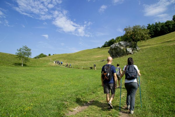 Randonnée au cœur de la Vendée : comment se préparer