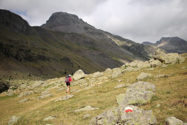 Short femme de randonnée : confort et liberté pour explorer la nature en toute sérénité